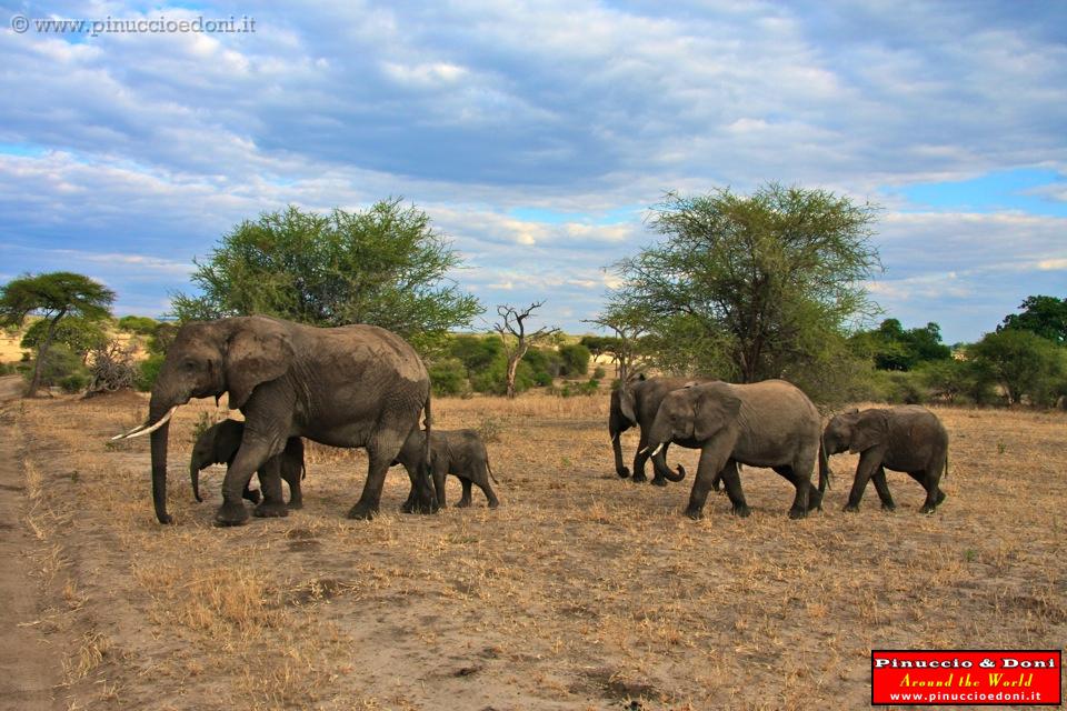 TANZANIA - Tarangire National Park - 35.jpg